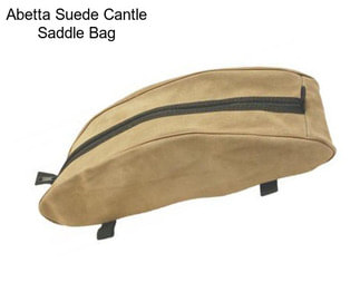 Abetta Suede Cantle Saddle Bag