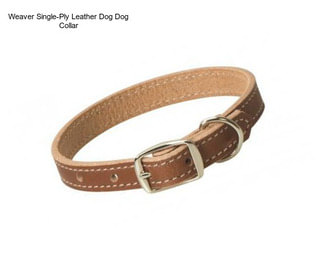 Weaver Single-Ply Leather Dog Dog Collar