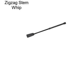 Zigzag Stem Whip