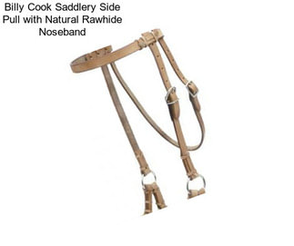 Billy Cook Saddlery Side Pull with Natural Rawhide Noseband