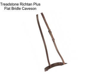 Treadstone Richtan Plus Flat Bridle Caveson