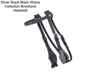 Silver Royal Black Widow Collection Browband Headstall