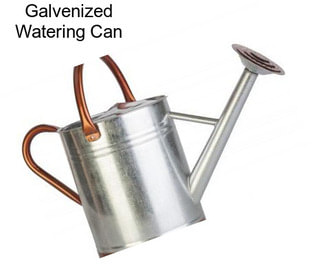 Galvenized Watering Can