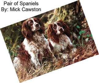 Pair of Spaniels By: Mick Cawston