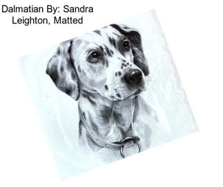 Dalmatian By: Sandra Leighton, Matted