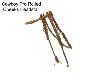 Cowboy Pro Rolled Cheeks Headstall