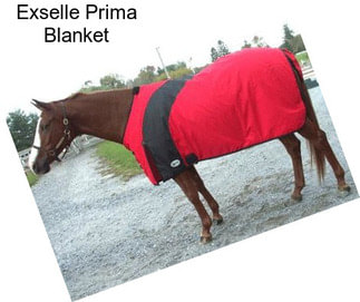 Exselle Prima Blanket