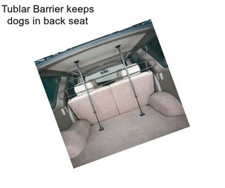 Tublar Barrier keeps dogs in back seat