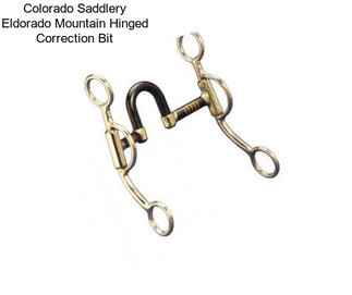 Colorado Saddlery Eldorado Mountain Hinged Correction Bit