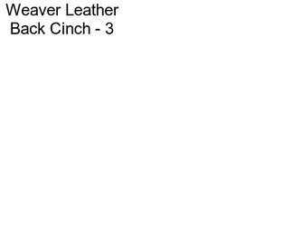 Weaver Leather Back Cinch - 3\