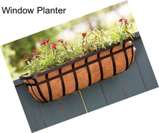 Window Planter