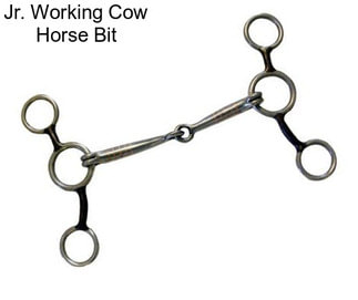 Jr. Working Cow Horse Bit