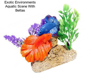 Exotic Environments Aquatic Scene With Bettas