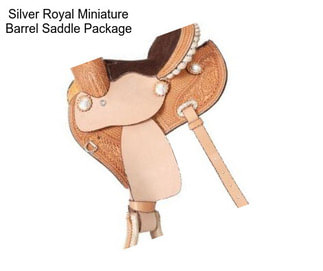 Silver Royal Miniature Barrel Saddle Package