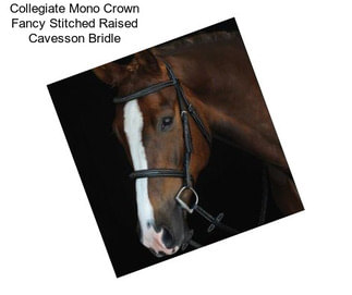 Collegiate Mono Crown Fancy Stitched Raised Cavesson Bridle