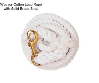 Weaver Cotton Lead Rope with Solid Brass Snap