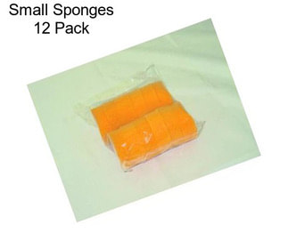 Small Sponges 12 Pack