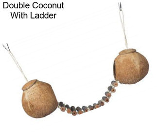 Double Coconut With Ladder