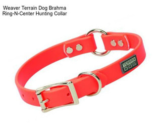 Weaver Terrain Dog Brahma Ring-N-Center Hunting Collar