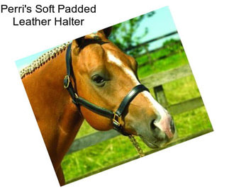 Perri\'s Soft Padded Leather Halter