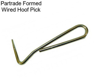 Partrade Formed Wired Hoof Pick