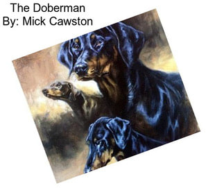 The Doberman By: Mick Cawston