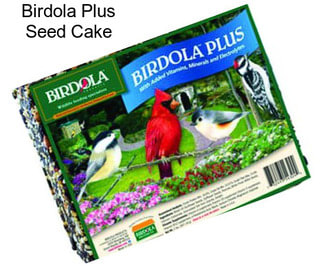 Birdola Plus Seed Cake