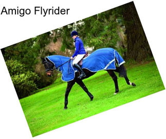 Amigo Flyrider