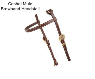 Cashel Mule Browband Headstall