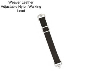 Weaver Leather Adjustable Nylon Walking Lead