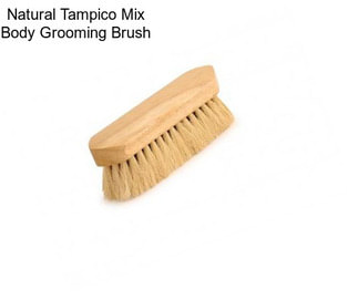 Natural Tampico Mix Body Grooming Brush