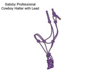 Gatsby Professional Cowboy Halter with Lead