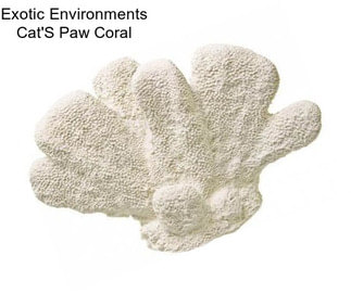 Exotic Environments Cat\'S Paw Coral