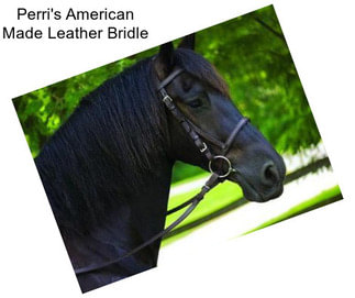 Perri\'s American Made Leather Bridle