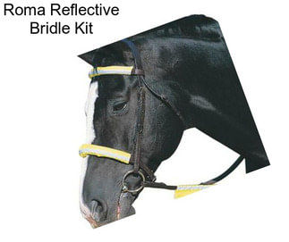 Roma Reflective Bridle Kit