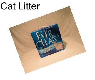 Cat Litter