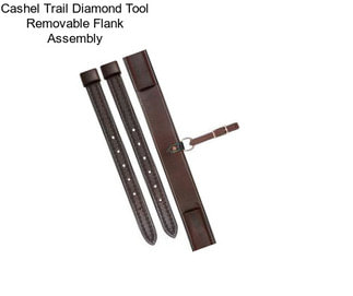 Cashel Trail Diamond Tool Removable Flank Assembly