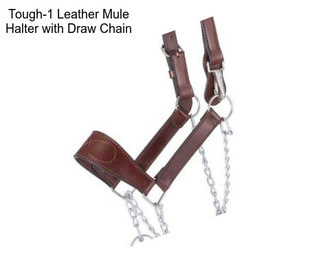 Tough-1 Leather Mule Halter with Draw Chain