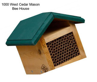 1000 West Cedar Mason Bee House