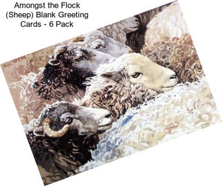 Amongst the Flock (Sheep) Blank Greeting Cards - 6 Pack