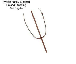 Avalon Fancy Stitched Raised Standing Martingale