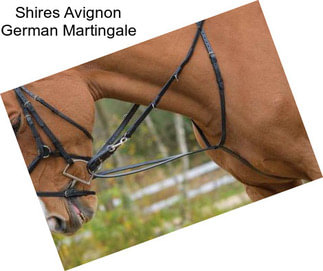 Shires Avignon German Martingale