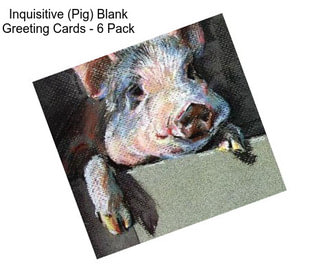 Inquisitive (Pig) Blank Greeting Cards - 6 Pack