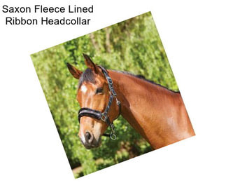 Saxon Fleece Lined Ribbon Headcollar