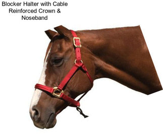 Blocker Halter with Cable Reinforced Crown & Noseband