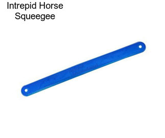 Intrepid Horse Squeegee