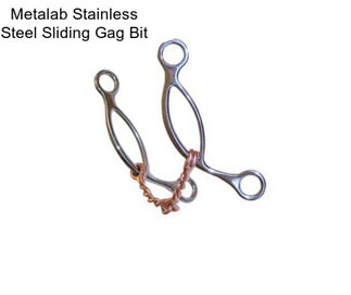 Metalab Stainless Steel Sliding Gag Bit