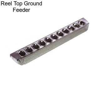 Reel Top Ground Feeder