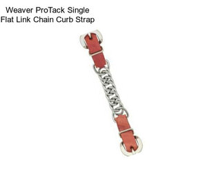 Weaver ProTack Single Flat Link Chain Curb Strap