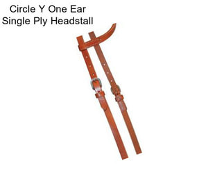 Circle Y One Ear Single Ply Headstall